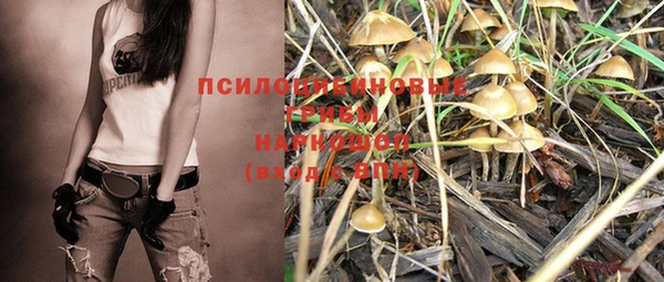 apvp Арсеньев