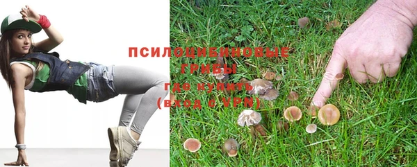 альфа пвп Армянск