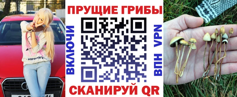 Псилоцибиновые грибы мицелий  kraken онион  Оленегорск 